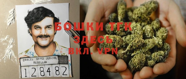 бошки Богородицк
